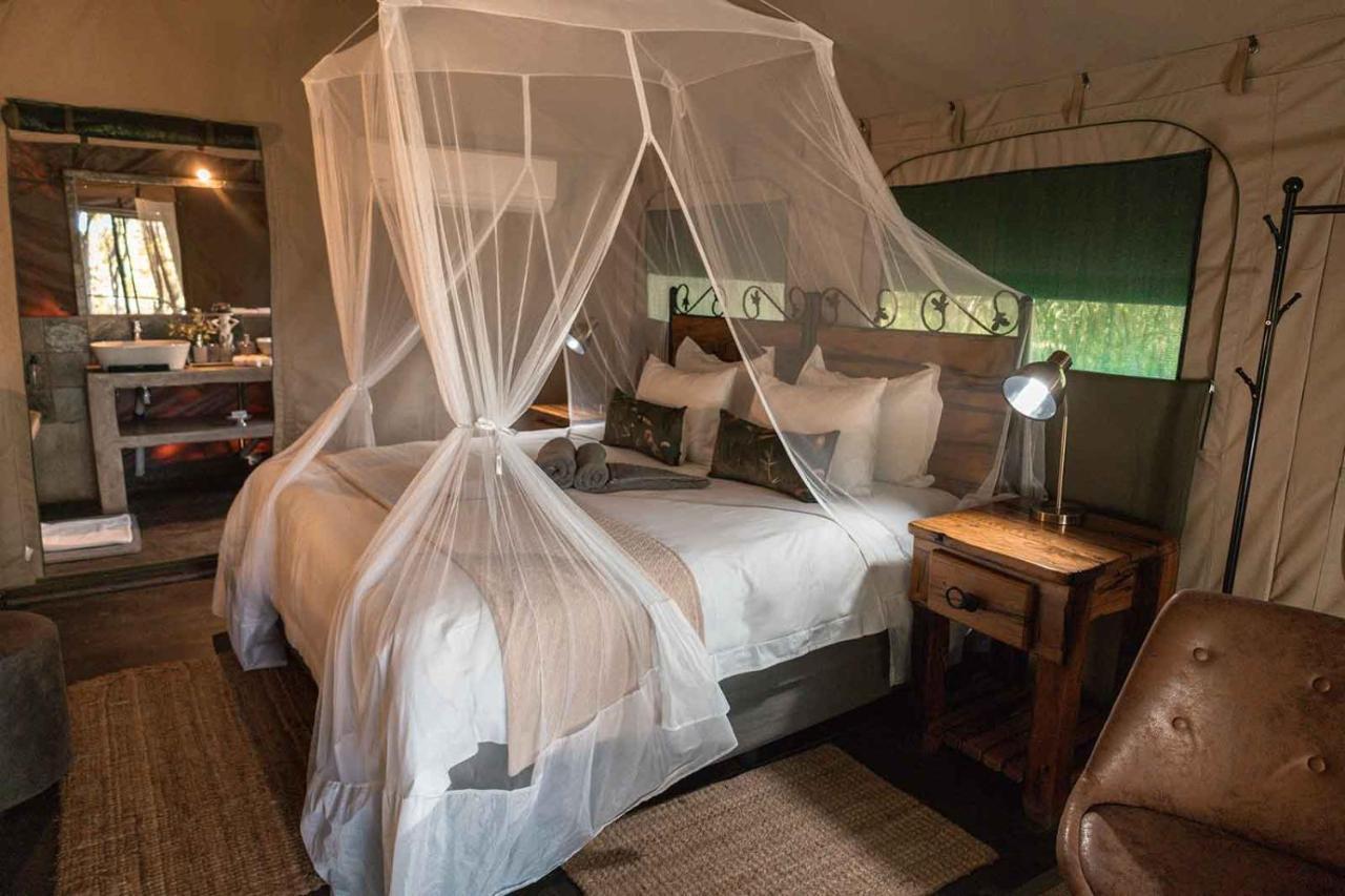 Umkumbe Bush Lodge - Luxury Tented Camp Sabi Sand Zewnętrze zdjęcie