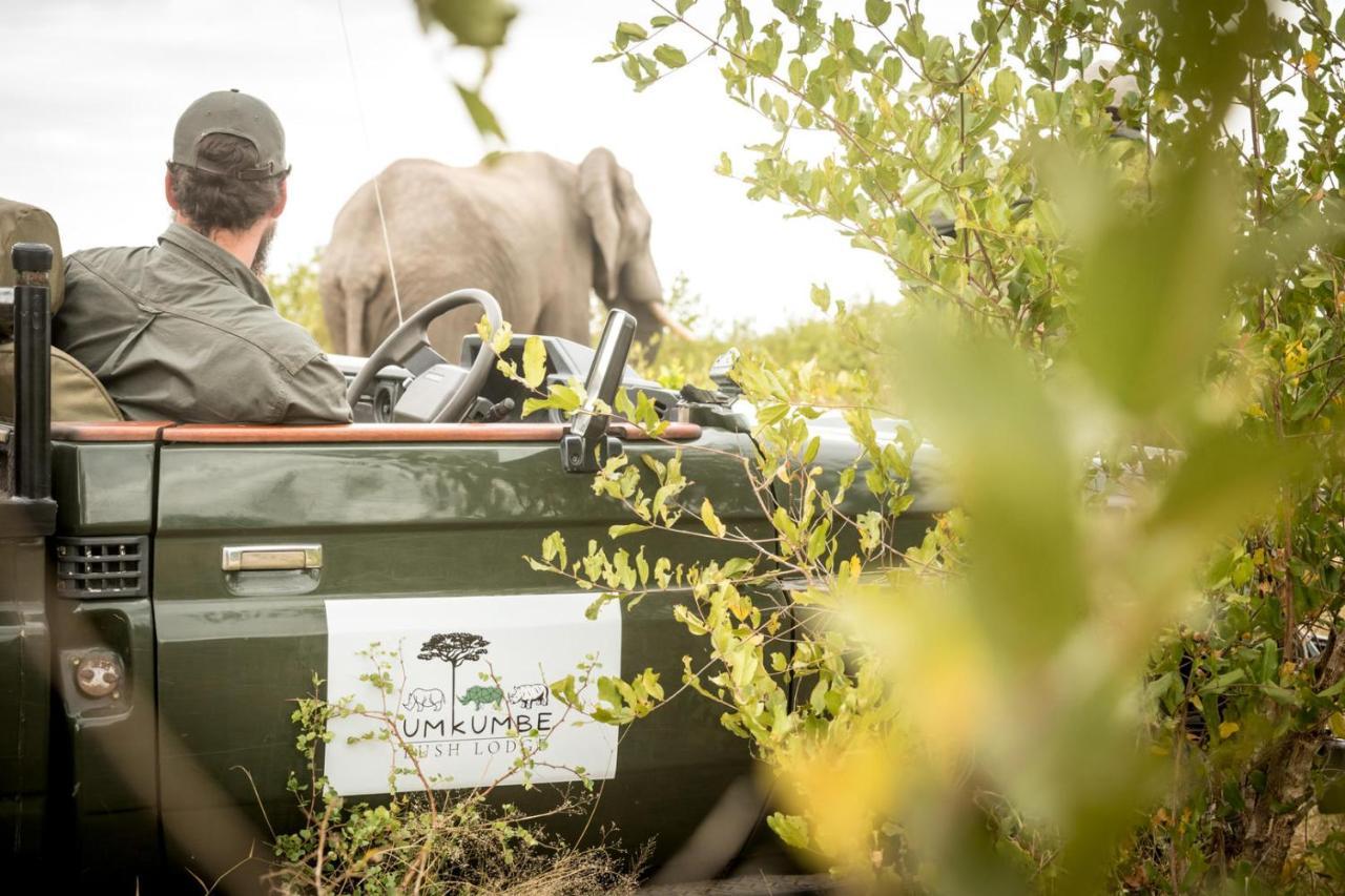 Umkumbe Bush Lodge - Luxury Tented Camp Sabi Sand Zewnętrze zdjęcie