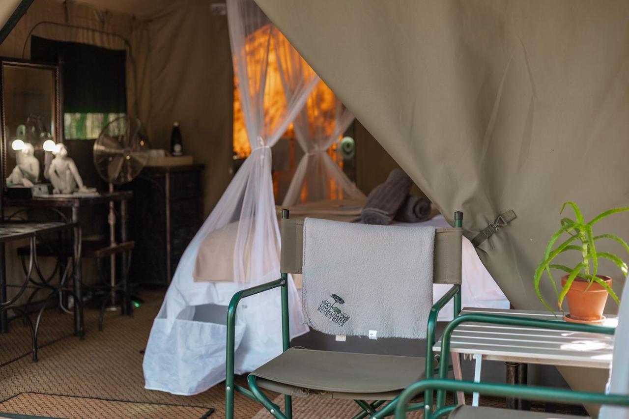 Umkumbe Bush Lodge - Luxury Tented Camp Sabi Sand Zewnętrze zdjęcie